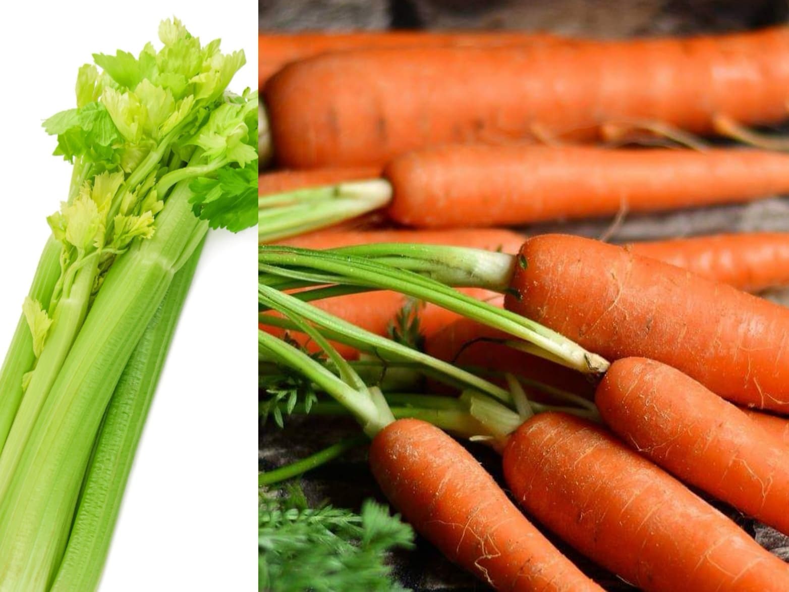 Recette de purée carotte, céleri branche, pomme de terre et poulet pour