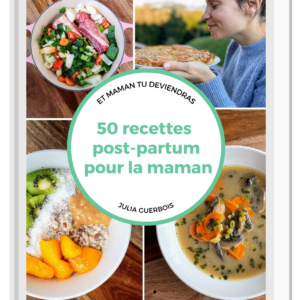 Livre 50 recettes post-partum pour la maman